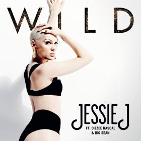 Jessie J Ft  Big Sean & Dizzee Rascal - Wild [Music Video] 720p [Sbyky] MP4
