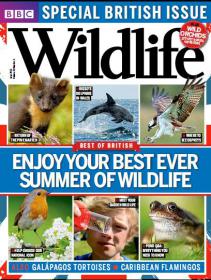 BBC Wildlife _ Best of British Enjoy Your Best Ever Summer of Wildlife (June 2013)