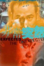 (CHINESE) Expect The Unexpected 1998 DVDRIP XVID AC3-MAJESTiC