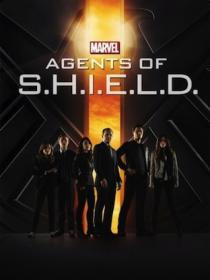 Marvel's Agents of S.H.I.E.L.D.   Seizoen1 Afl 10 HDTV (XviD) NL Subs DMT