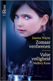 Joanna Wayne - Zomaar verdwenen. NL Ebook. DMT