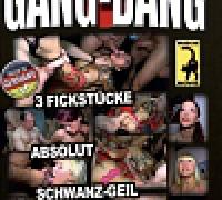 Muschi Movie Gang Bang German XXX DVDRiP x264 TattooLovers