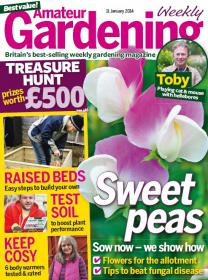 Amateur Gardening  - January 11 2014  UK
