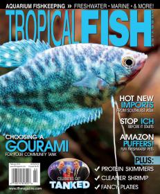 Tropical Fish Hobbyist - February 2014