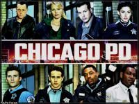 Chicago P.D. S01E01VOSTFR HDTV x264-BRN [Seedbox]