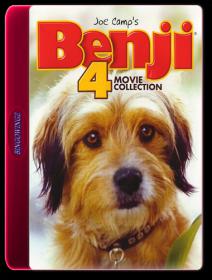 Benji 4 Movie Collection [1974-2004]DVDRip H264(BINGOWINGZ-UKB-RG)