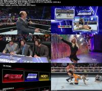 WWE Friday Night Smackdown 2014-01-17 HDTV XviD-AFG