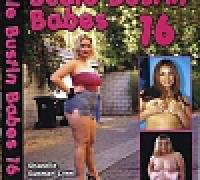Scale Bustin Babes 16 2005 DVDRip