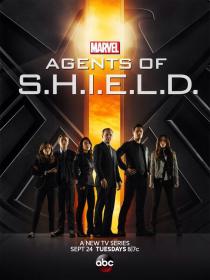 Marvel's Agents of SHIELD S01E13 VOSTFR HDTV x264-BRN [Seedbox]