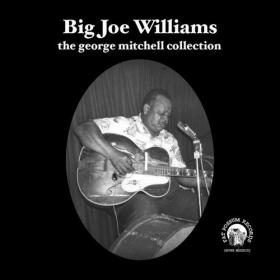 Big Joe Williams George Mitchell Collection(blues)(mp3@320)[rogercc][h33t]