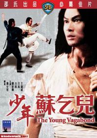 The Young Vagabond 1985 DVDRip XviD AC3 SUBBED-RARBG