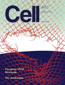 Cell - February 13 2014