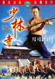 Shaolin Temple 1976 DVDRip XviD AC3 SUBBED-RARBG