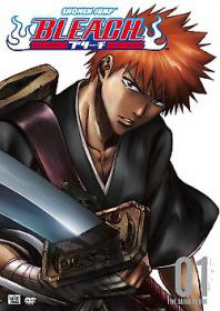 Bleach Season 01 [Dual-Audio] [Zero-HP]