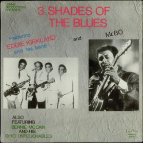 Eddie Kirkland - Mr Bo - Bennie Mc Cain 3 Shades of the Blues (blues)(np3@320)[rogercc][h33t]