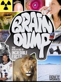 How It Works Brain Dump - (Issue 9, 2014)