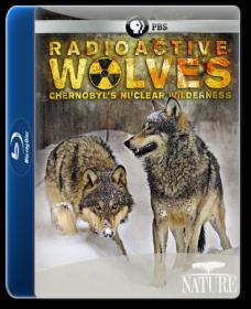 PBS Nature Radioactive Wolves 2011 1080p BDRip H264 AAC - KiNGDOM