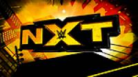 WWE NXT 2014-03-13 720p H264 AVCHD-SC-SDH