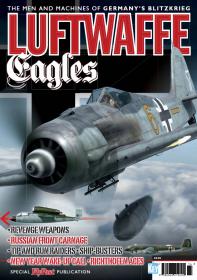 Flypast Special Luftwaffe Eagles - 2014  UK
