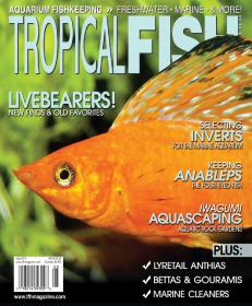 Tropical Fish Hobbyist - May 2014