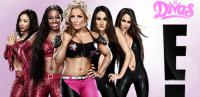 WWE After Total Divas 13-4-2014 HD WebRip 720p-x264  