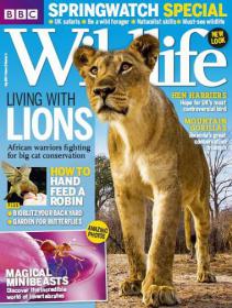 BBC Wildlife - Living With Lions + How To Feed A Robin and Magical Minibeasts (May 2014)