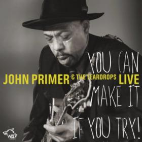 John Primer and The Teardrops-You Can Make It If You Try(MP3@320)[H33T]