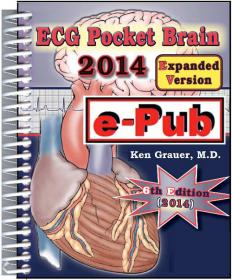 ECG 2014 Pocket Brain (Expanded) [Epub] [StormRG]