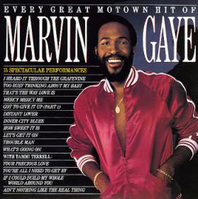 Marvin Gaye  Every Great Motown Hit