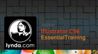 Illustrator CS6 Essential Training (MP4)