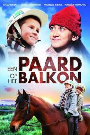 Een Paard op het Balkon (2012) DVDrip (xvid) NL Gespr  DMT
