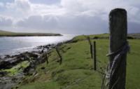 Alison Steadmans Shetland S01E01 720p HDTV x264-C4TV