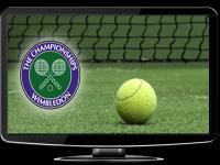 Tennis Wimbledon 2014 Mens Final Djokovic vs Federer 480p HDTV x264-mSD