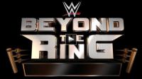 WWE Beyond The Ring CM Punk Best In The World WEB-DL H264-XWT