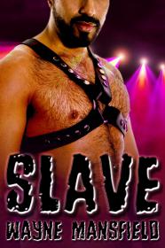 Wayne Mansfield - Slave