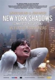 Sombras de Nueva York [DVDrip][AC3 5.1 Español Castellano][2013]