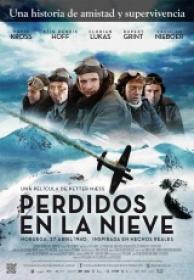 Perdidos en la nieve [BluRay Rip][AC3 5.1 Español Castellano][2013]