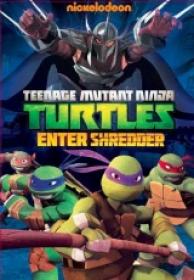 Las Tortugas Ninja 2 Llega Shredder [DVDrip][AC3 2.0 Español Castellano][2013]