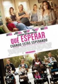 Que Esperar Cuando Estas Esperando [BluRayRip][Español Castellano Ac3 5.1][2012]