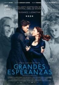 Grandes Esperanzas [BluRay Rip][AC3 5.1 Español Castellano][2013]