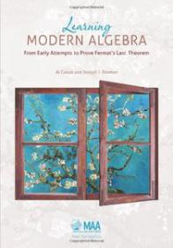 Learning Modern Algebra - From Early Attempts to Prove Fermat's Last Theorem