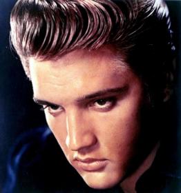 Elvis Presley - 24 Bit Vinyl Pack