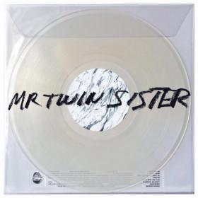 Mr Twin Sister - Mr Twin Sister 2014 ( Indie Pop ) mp3 @ 320