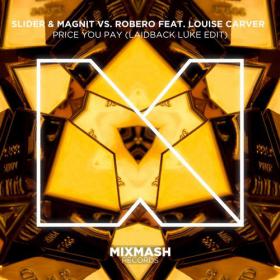 Slider & Magnit vs  Robero ft  Louise Carver - Price You Pay (Laidback Luke Edit)