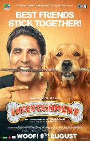 Itâ€™s Entertainment (2014) Hindi Movie 375MB DVDRip 480P ESubs by MSK