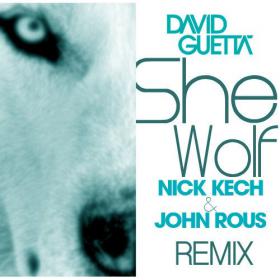 David Guetta feat  Sia - She Wolf (Nick Kech & John Rous Remix)