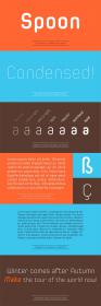 Spoon Font Family - 14 Fonts for $300