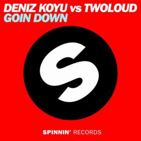 Deniz Koyu vs  twoloud - Going Down (Original Mix)