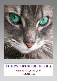 The Pathfinder Trilogy  Todd Stockert