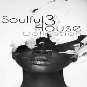 VA - Soulful House Collection, Vol  3 (2014) MP3